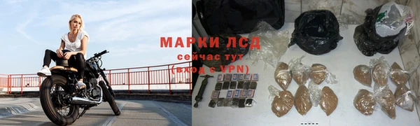 сатива Мегион