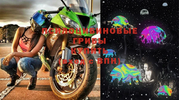 ешки Михайлов