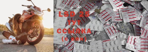 сатива Мегион