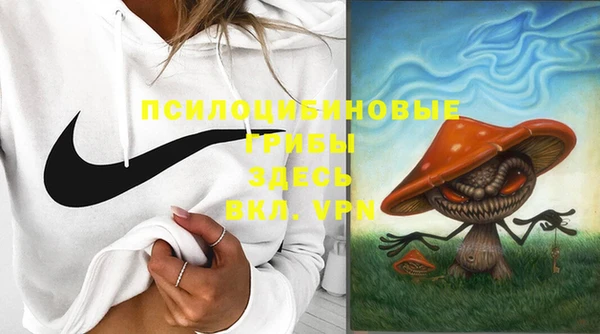 первитин Медвежьегорск