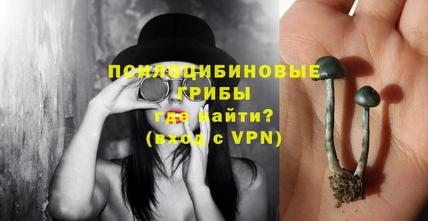 ешки Михайлов