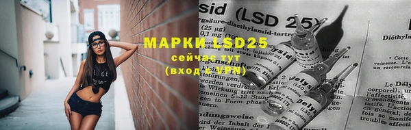 ешки Михайлов